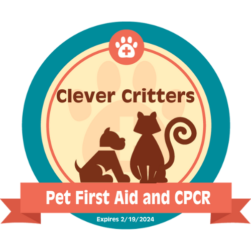 Behavior Modification and Training - Clever Critters, LLC